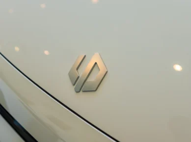 Leap logo