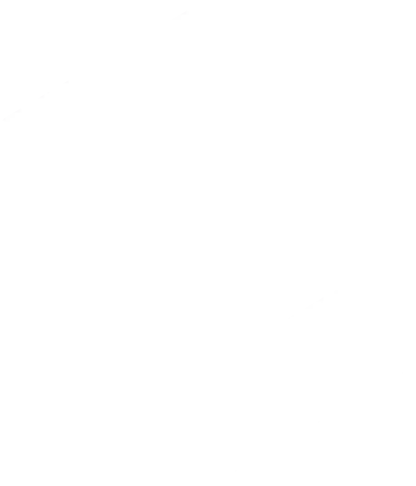 Leapmotor